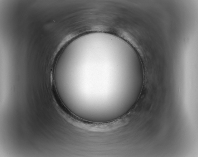 X0000086750011200704271719