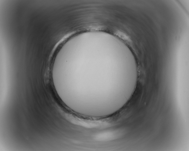 X0000086750012200704271719