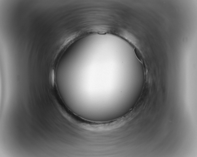 X0000086750013200704271719