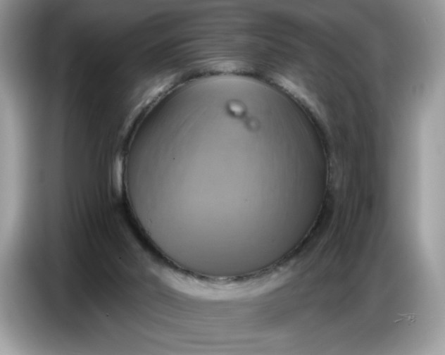 X0000086750014200704271719