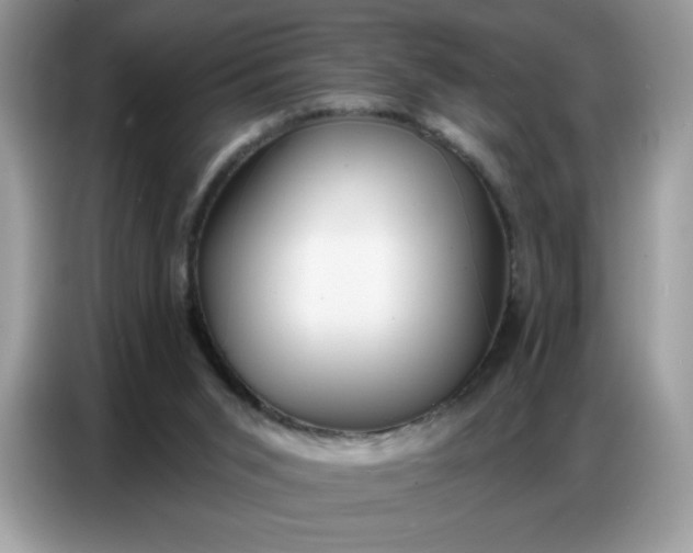 X0000086750015200704271719