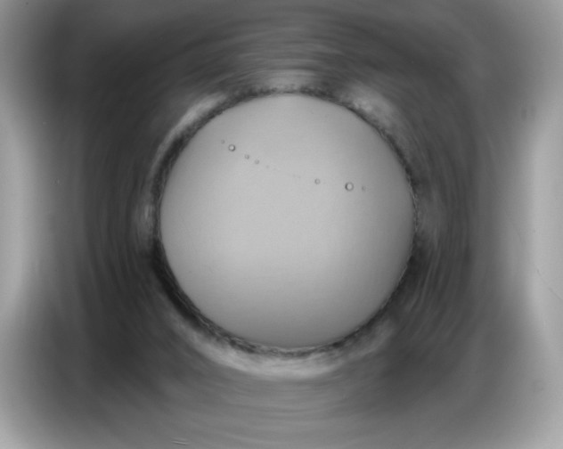 X0000086750016200704271719