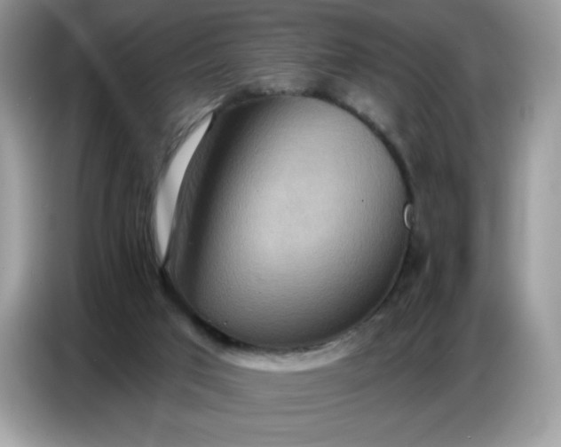 X0000086750017200704271719