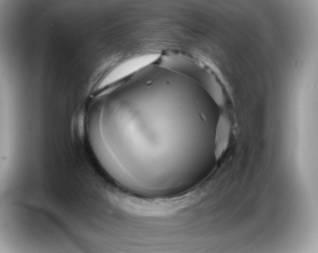 X0000086750019200704271719