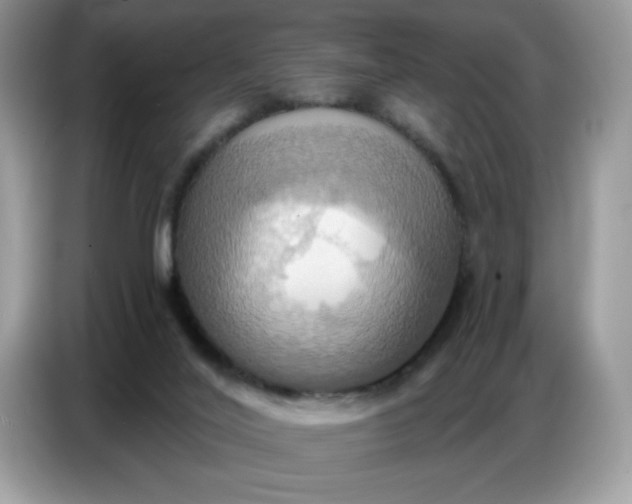 X0000086750020200704271719