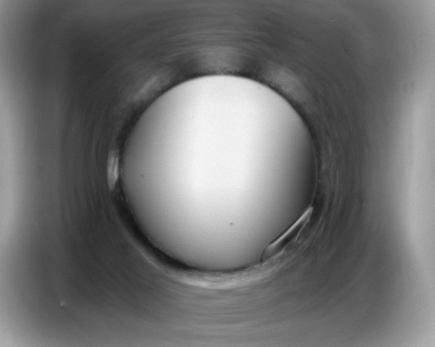 X0000086750021200704271719