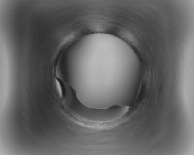 X0000086750023200704271719