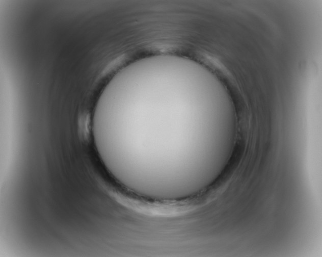 X0000086750024200704271719