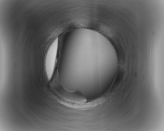 X0000086750027200704271719