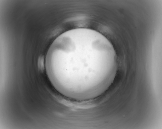 X0000086750028200704271719