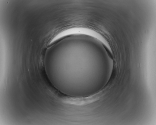 X0000086750029200704271719