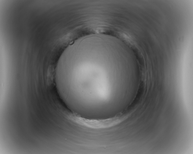 X0000086750030200704271719