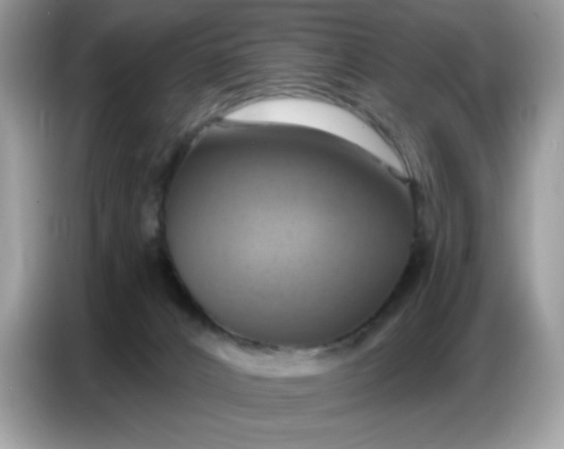 X0000086750032200704271719