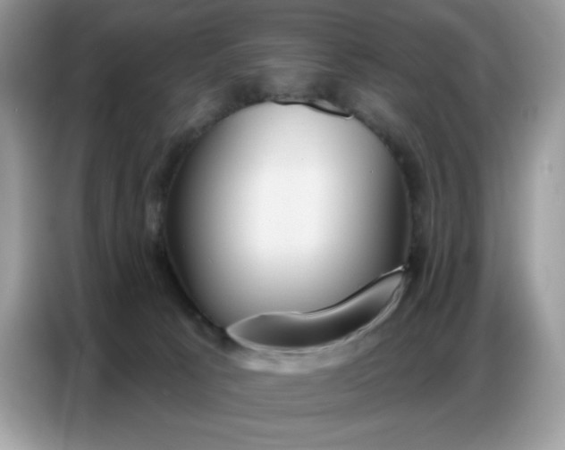 X0000086750033200704271719