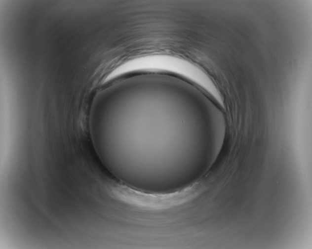 X0000086750035200704271719