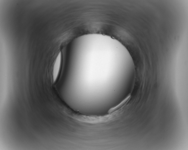 X0000086750037200704271719