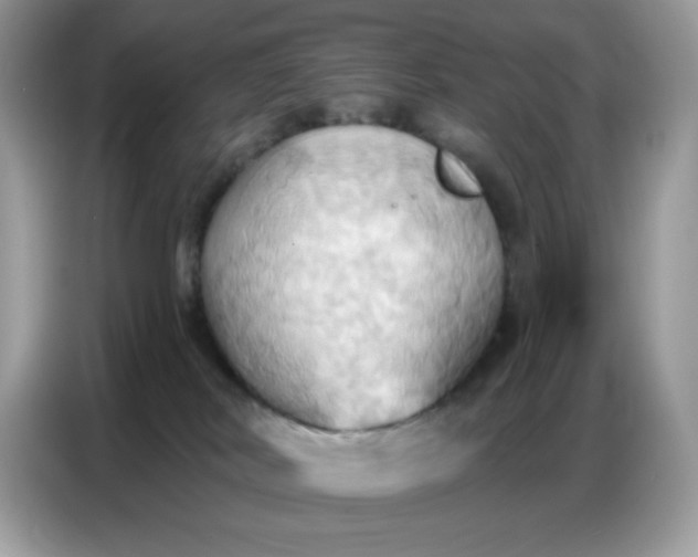 X0000086750038200704271719