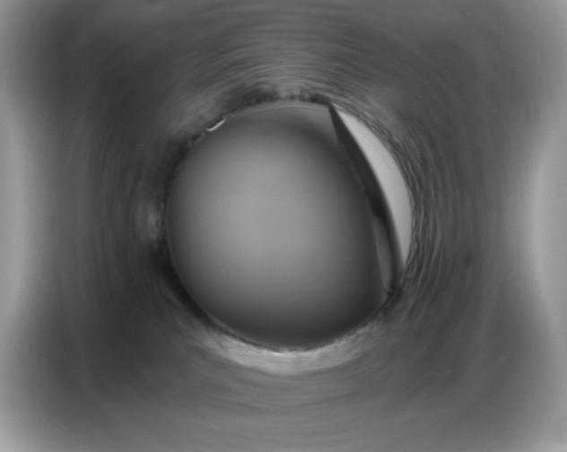 X0000086750039200704271719