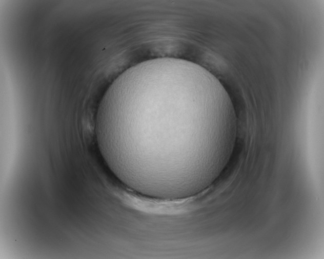 X0000086750040200704271719