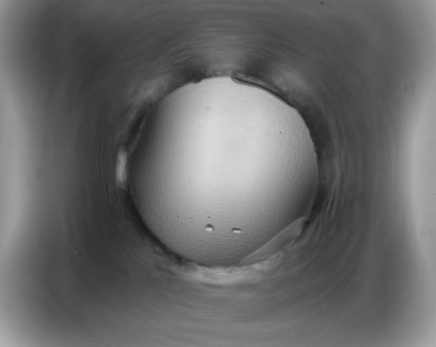 X0000086750041200704271719