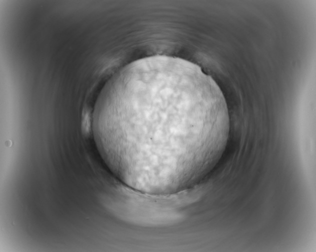 X0000086750042200704271719