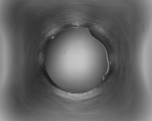 X0000086750043200704271719