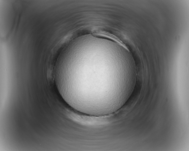 X0000086750044200704271719