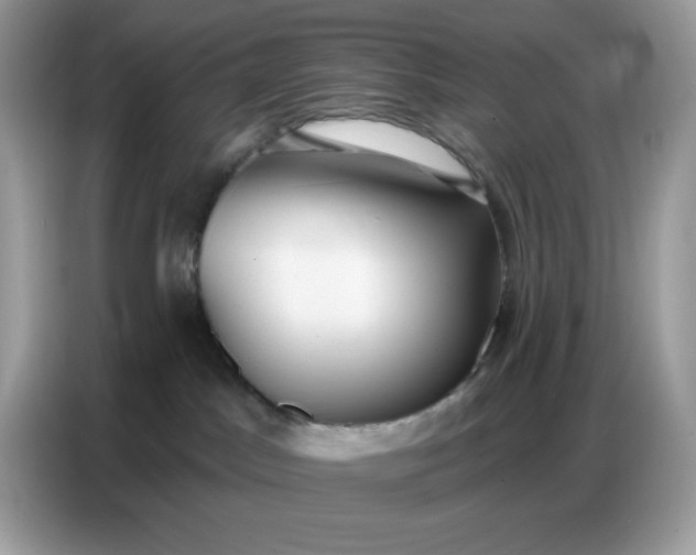 X0000086750045200704271719