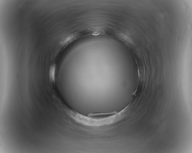 X0000086750047200704271719