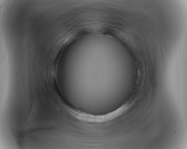 X0000086750048200704271719