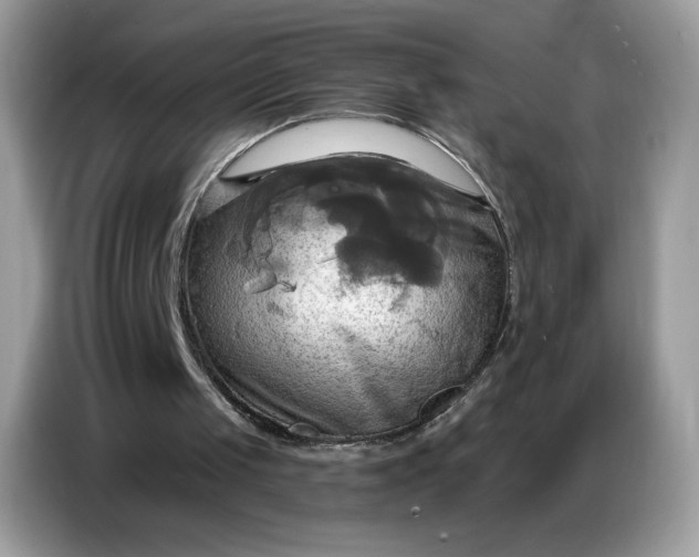 X0000086750049200704271718