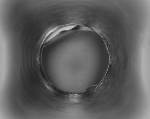 X0000086750050200704271718