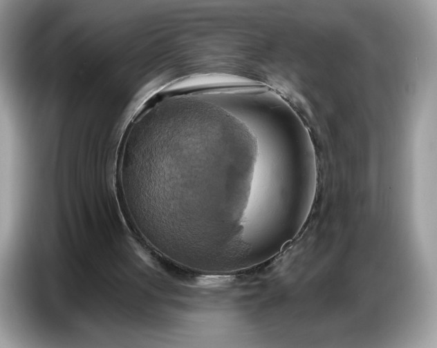 X0000086750051200704271718