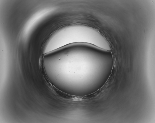 X0000086750052200704271718