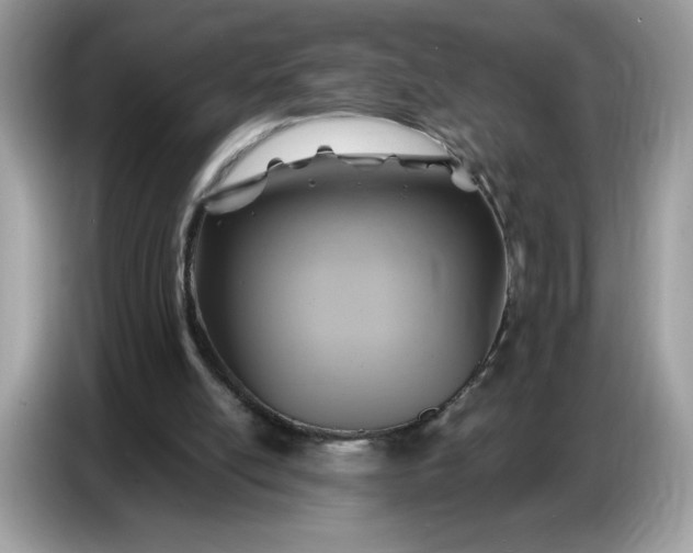 X0000086750054200704271718