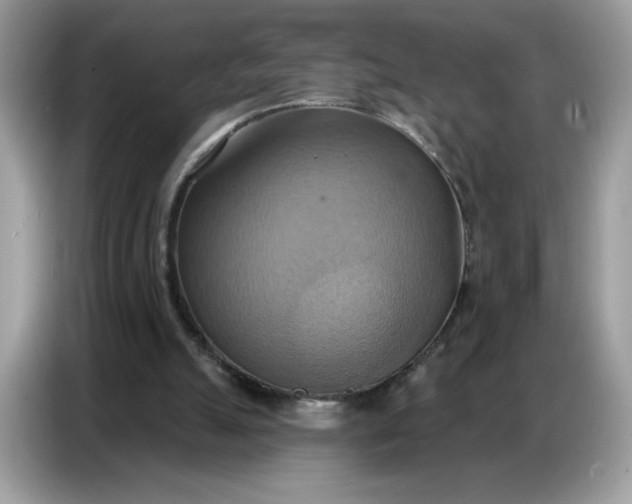 X0000086750055200704271718