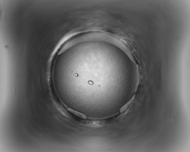 X0000086750056200704271718