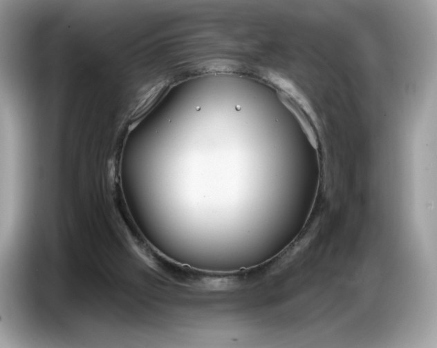 X0000086750057200704271718