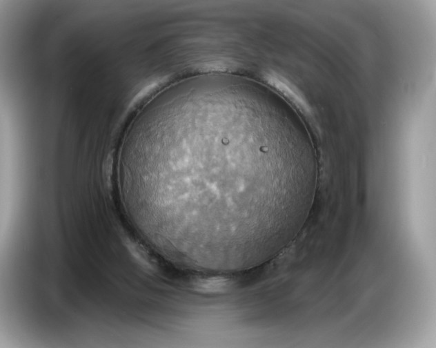 X0000086750058200704271718