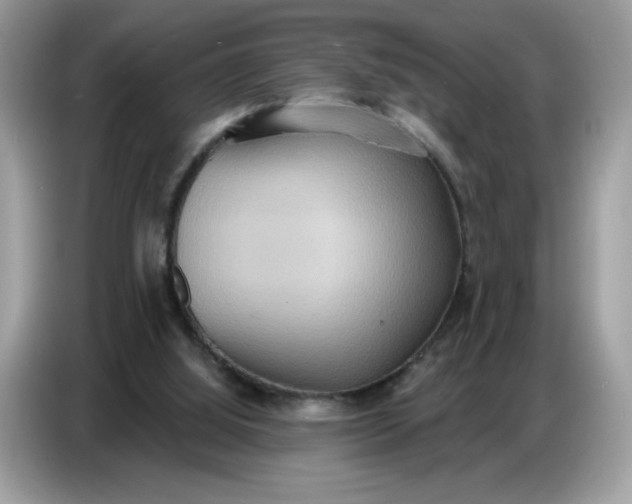 X0000086750060200704271718