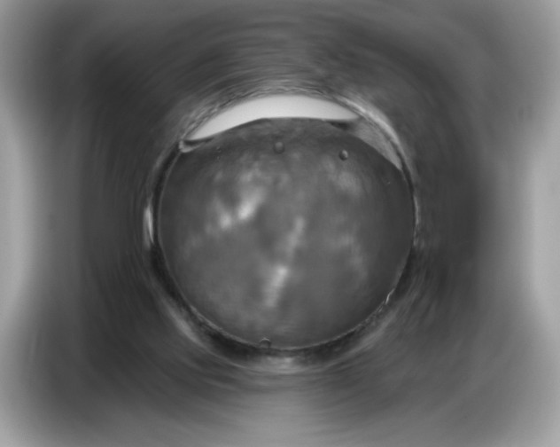 X0000086750061200704271718