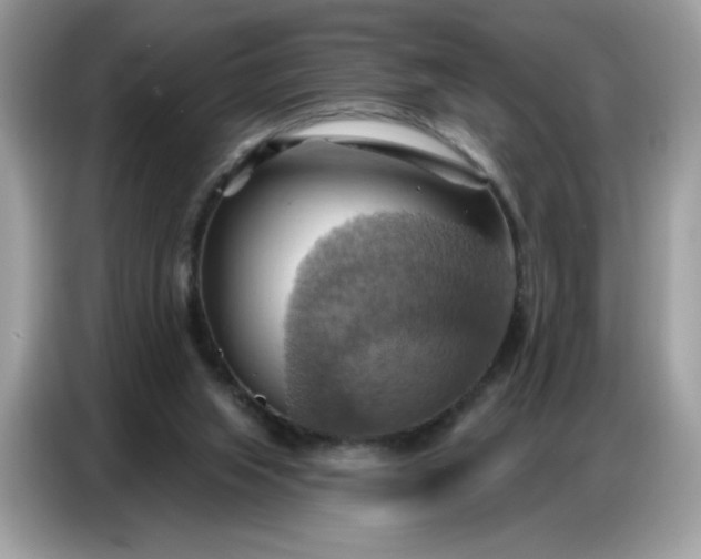 X0000086750063200704271718