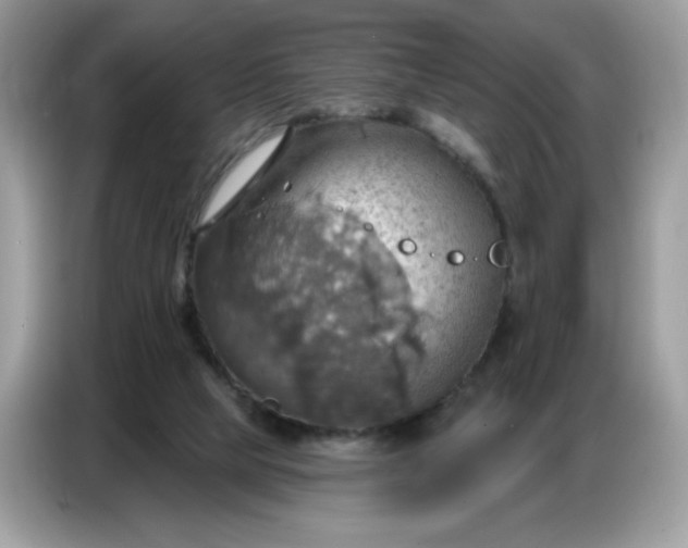 X0000086750065200704271718