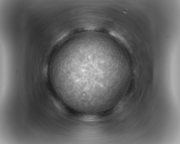 X0000086750066200704271718