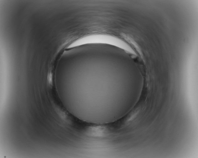 X0000086750067200704271718