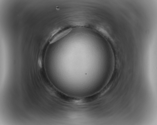 X0000086750068200704271718