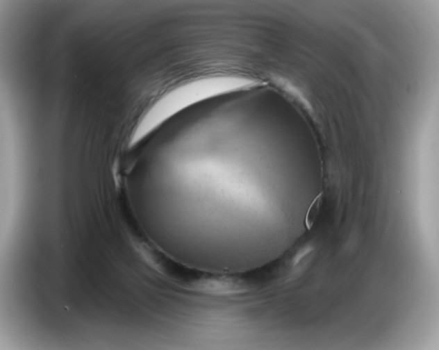 X0000086750069200704271718