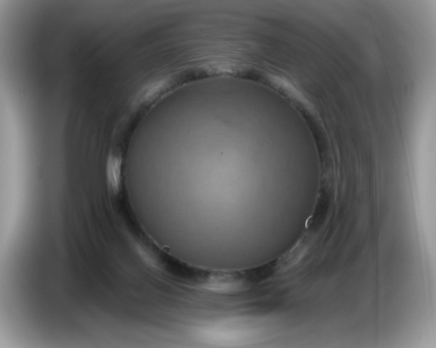 X0000086750070200704271718