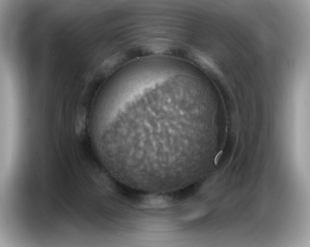 X0000086750073200704271718