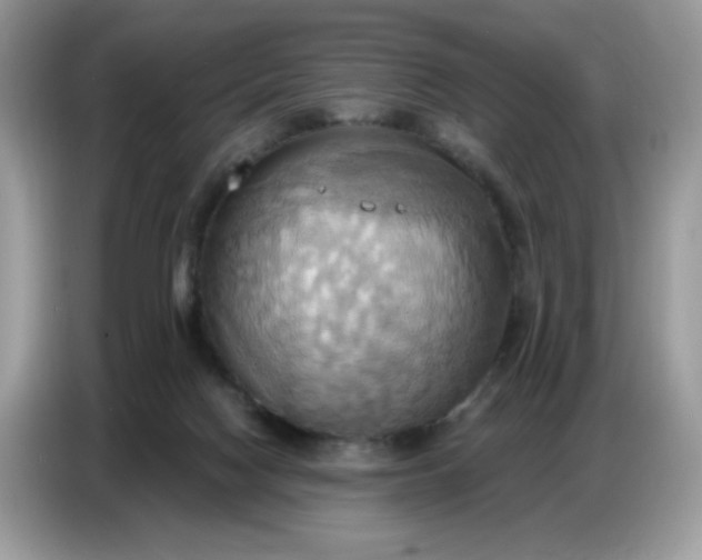 X0000086750074200704271718